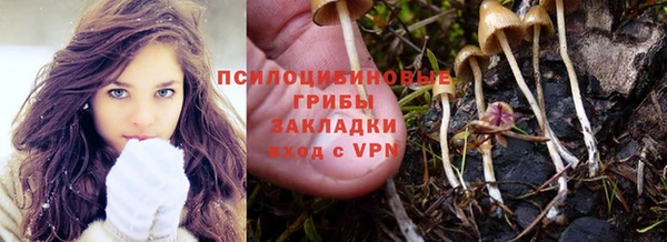 спиды Алексин