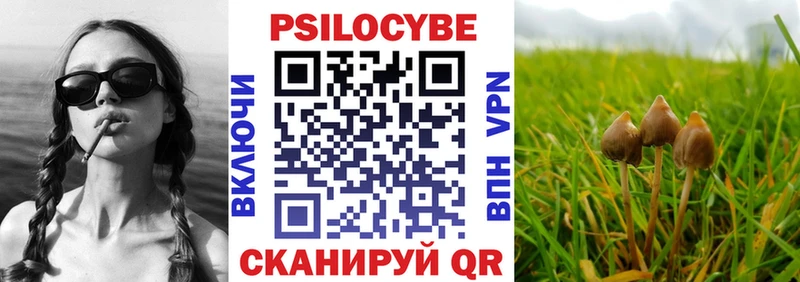 Псилоцибиновые грибы MAGIC MUSHROOMS Чехов