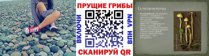 Галлюциногенные грибы MAGIC MUSHROOMS  площадка какой сайт  Чехов 